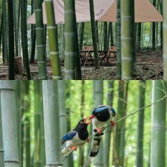 廖姐韭菜粉丝粿 User Photo