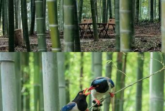 廖姐韭菜粉丝粿 여행 사진