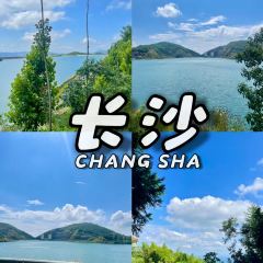 豆夫酥酥臭名远扬臭豆腐(总店) User Photo