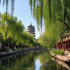 古风烧烤(新华联店) User Photo