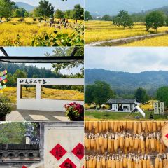 秀嫂挞粿 User Photo