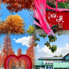 洪泽湖小鱼锅贴城(淮建路店) 여행 사진