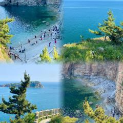 喜鼎海胆水饺(星海湾壹号店) User Photo