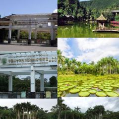 傣景园景颇族绿叶手抓饭 User Photo