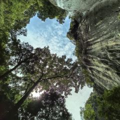 聚春園(南后街店)張用戶圖片