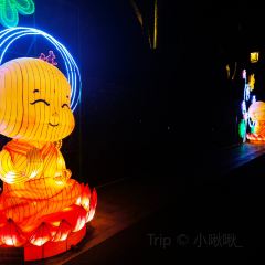 不够冰屋(吾悦广场店) User Photo