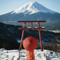 Fujiyama Cookie User Photo