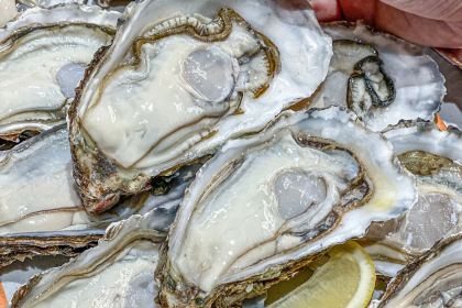 开蚝屋·生蚝海鲜烧烤(达明店)