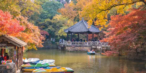 虞山國家森林公園