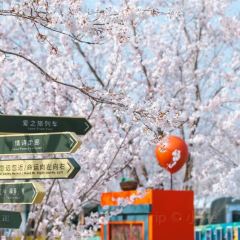 御尚鲜·海鲜市集餐厅(万平口莱顿店) User Photo