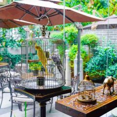 九筵(万航渡路店) User Photo