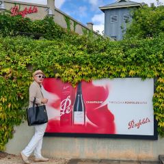 Penfolds Magill Estate Restaurant User Photo