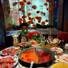 朱光玉火锅馆(绵阳万达店) User Photo