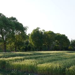 良壤有机庄园 User Photo