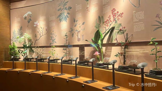 Guangzhou Xuelei Fragrance Museum