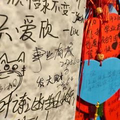 JIANGNAN A Liu Tou User Photo