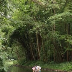 川渝味家常菜張用戶圖片