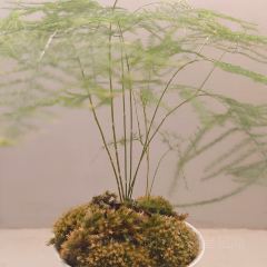 三·甘い 室(荷花新村店) User Photo