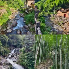 TAIHURENJIA·SUZHECAI User Photo