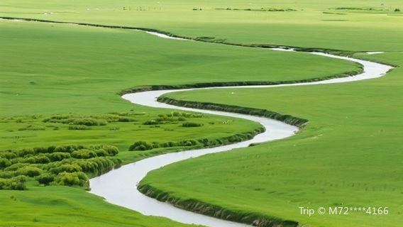 hong yuan da cao yuan