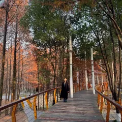 胡记包子 User Photo