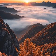 Xinyi Restaurant User Photo