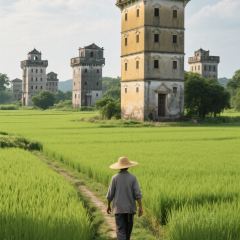 A bao bao zai Rice (huangqi) User Photo