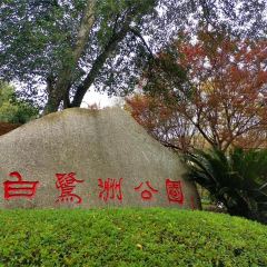 小姨家常菜張用戶圖片