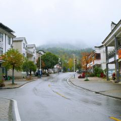 Sage Hall Homestay User Photo