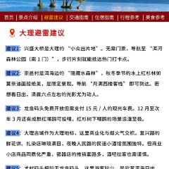 杨记饵块 User Photo