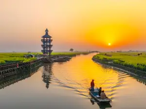 xing hua qian dao cai hua feng jing qu