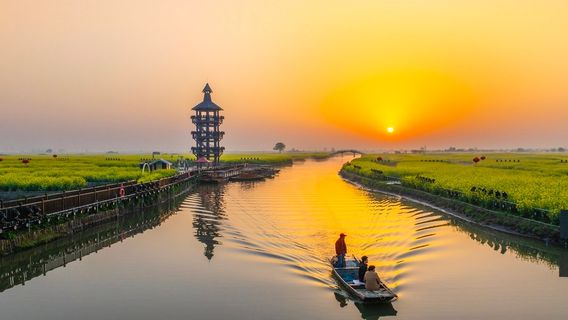 xing hua qian dao cai hua feng jing qu