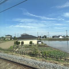 Aonodokutsu User Photo