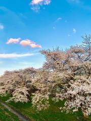 雫石川園地