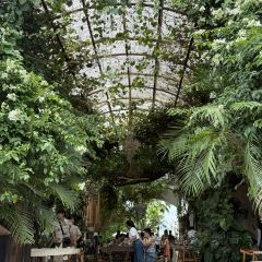 PENNY LANE User Photo