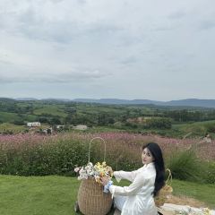 Donghouse khaoyai User Photo