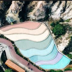 Zhan yi gong shi la zi Chicken (zhan yi) User Photo