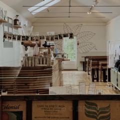 Colonna & Small's 여행 사진