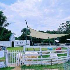 岭澜食尚 User Photo