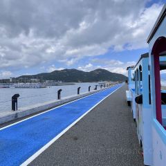 桔钓沙望月海鲜餐吧(大鹏游艇会店) User Photo