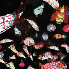 府衙老爷咖啡 User Photo