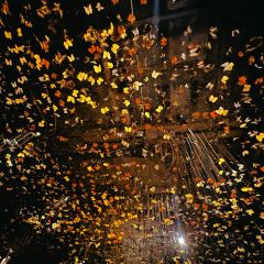 The Iron Fairies Hong Kong User Photo