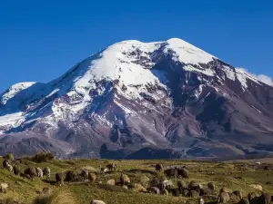 Parque Nacional Cotopaxi