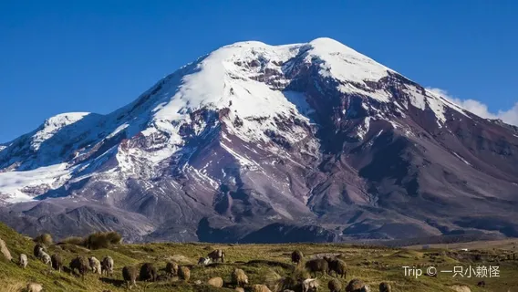 Parc National du Cotopaxi