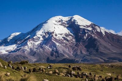 Parque Nacional Cotopaxi