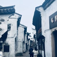 Seeing Tea User Photo