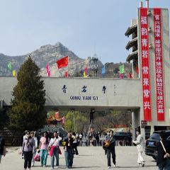 天香楼水馅包孑 User Photo