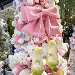 memorys garden 여행 사진