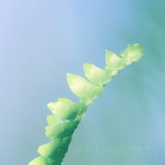 甜啦啦鲜果茶(都匀民族师范学院店) User Photo