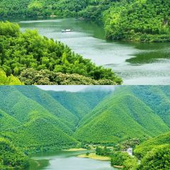 小杭坑2号营地 User Photo